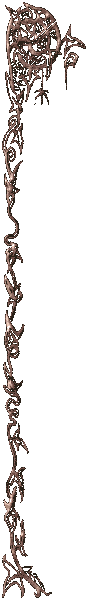 Borderl.gif (5722 bytes)