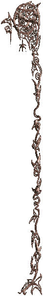 Borderr.gif (5701 bytes)