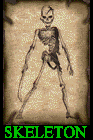 Skeleton