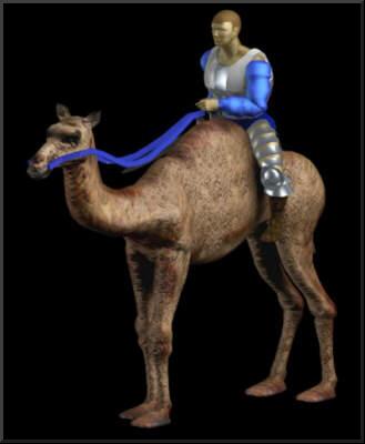 Camel Rider