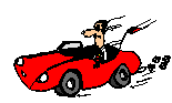 auto.gif (3117 byte)