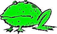 Mr Frog