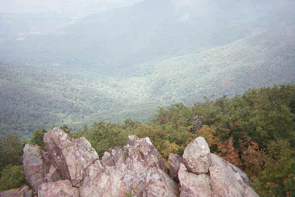 Shenandoah National Forest