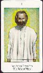 Master Tarot