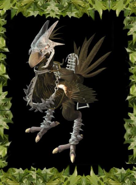 Echo, the great warrior of the chocobo clan