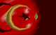Türk Bayragi