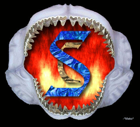 Sharks Logo