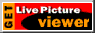 viewer