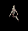 Ghoul