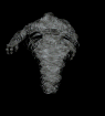 Air Elemental