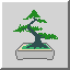 Shrub