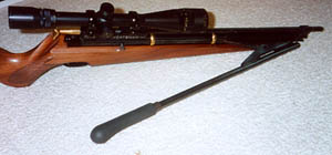 picture of the sportsman lever