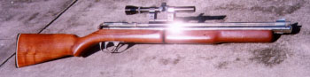 picture of the Silver Streak