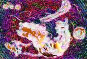 Chid