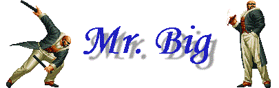 Mr. Big