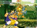 Ceiling Slam Grabber