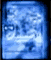 atws4.jpg