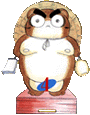 racoon