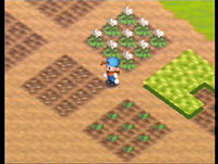 Work dat farm!