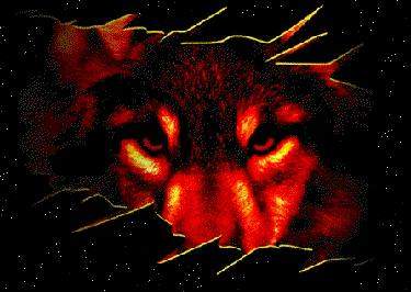 TimberWolves