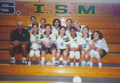 v-ball