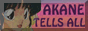 What's It All About?  Anime, Manga, and Role-Playing