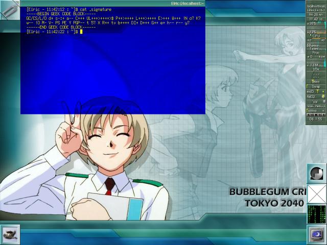 Nene from Bubblegum Crisis Tokyo 2040