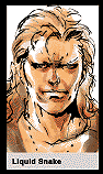 Liquid Snake