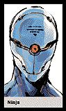 Ninja