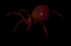 Cave spiders