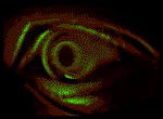 Right Eye Looking