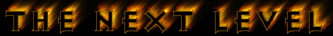 nextlvl.gif (15387 bytes)