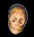 anatomy12.gif - 18356 Bytes