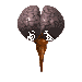 anatomy3.gif - 8120 Bytes