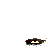 anatomy7.gif - 5454 Bytes