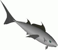 fish02.jpg - 4187 Bytes