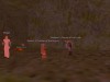 Chivalry in a Thief?