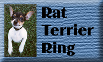 Rat Terrier Ring