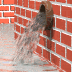 water.gif