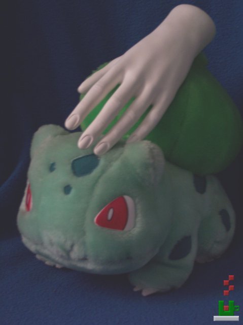 Bulbasaur (c) 2005 TStodden, (c) 2005 N.M.E.
All Rights Reserved