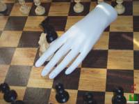 Chess (c) 2005 TStodden, (c) 2005 N.M.E.
All Rights Reserved