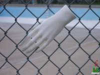 Pool_Fence (c) 2005 TStodden, (c) 2005 N.M.E.
All Rights Reserved
