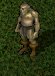 orc1.jpg (2189 bytes)