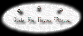 Guide for Novice Thieves