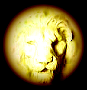 lion2.jpg (57276 bytes)