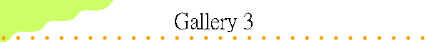 Gallery 3