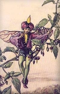 Nightshade Fairy