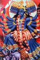 kali1.jpg (10005 bytes)