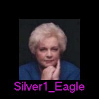 /silver1_Eagle1.jpg