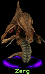 /user/zerg.gif